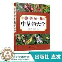 [醉染正版]图解中草药 中医入门中草药书籍药材植物彩图中药 中医养生保健中草药识别百科全书 本草纲目中草药识别参考书籍