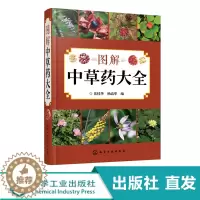 [醉染正版]图解中草药 中医入门中草药书籍药材植物彩图中药 中医养生保健中草药识别百科全书 本草纲目中草药识别参考书籍