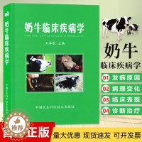 [醉染正版]奶牛临床疾病学 王春璈 兽医手术 定价168元 奶牛疾病防控治疗学常见疾病诊疗奶牛疾病防治书籍
