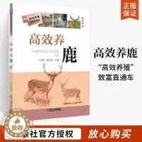 [醉染正版]高效养鹿 梅花鹿养殖书籍 鹿养殖技术资料大全 养鹿书籍 马鹿水鹿坡鹿白唇鹿饲养书籍 饲料配制 鹿疾病防治产品