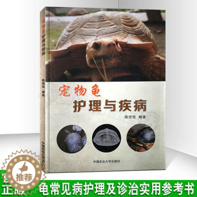 [醉染正版]宠物龟护理与疾病 陈佳佳编著 宠物龟护理疾病防治 龟病防治诊治预防技术大全一本通 乌龟宠物龟喂养入门新手教程