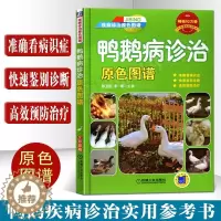 [醉染正版]鸭鹅病诊治原色图谱蛋鸭养殖技术养鸭书籍高效养鸭子疾病防治技术书籍肉鸭养殖场管理手册养鸭bi备药养鸭饲料养