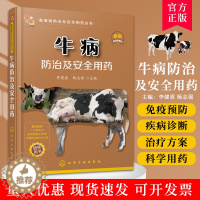[醉染正版]牛病防治及安全用药 高效养牛技术书 牛病的免疫预防全书 疾病诊断治疗方案合理科学用药 牛病防治实用手册 养牛