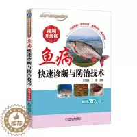 [醉染正版]鱼病快速诊断与防治技术 视频升级版 养鱼疾病书搭高效池塘养鱼书籍技术养殖鱼病图谱水产淡水鱼书如何养鱼资料书饲