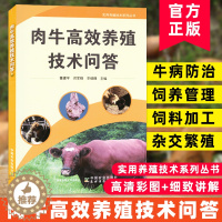 [醉染正版]肉牛高效养殖技术问答 肉牛养殖书籍 肉牛养殖 牛场环境建设饲草饲料开发牛杂交繁殖牛饲养管理牛场安全牛疾病防治