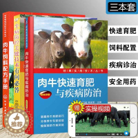 [醉染正版]养牛书籍大全肉牛养殖技术书籍 肉牛快速育肥与疾病防治+牛病防控关键技术有问B答+肉牛饲料配方手册 牛病治疗全