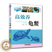 [醉染正版]高效养龟鳖 双色印刷 龟鳖高效养殖与疾病防治技术 水产高*健康养殖技术大全书籍 轻松掌握龟鳖健康养殖书 乌龟