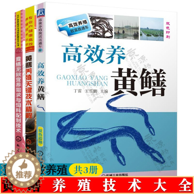 [醉染正版]黄鳝养殖书黄鳝养殖关键技术精解+高效养黄鳝+黄鳝泥鳅营养需求与饲料配制技术 疾病防治技术 水产养殖 黄鳝养殖