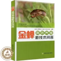 [醉染正版]金蝉高效养殖新技术问答 金蝉养殖与利用 知了猴成虫蚱蝉 黑蚱 高效养殖技术 知了高蛋白昆虫人工养殖繁育 疾病