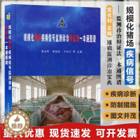 [醉染正版]规模化猪场疾病信号监测诊治辩证法一本通图谱 猪病学 猪病防治图谱 猪场疾病防治书籍