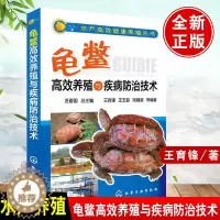 [醉染正版]正版 龟鳖高效养殖与疾病防治技术/水产高效健康养殖丛书 养殖技术大全书籍 养殖书 水产养殖技术书籍 乌龟王八