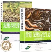 [醉染正版]全2册黄鳝泥鳅高效生态养殖新技术泥鳅养殖致富疾病鉴别诊断及治疗全书黄鳝水产高效健康养殖兽医实用手册繁殖饲养防