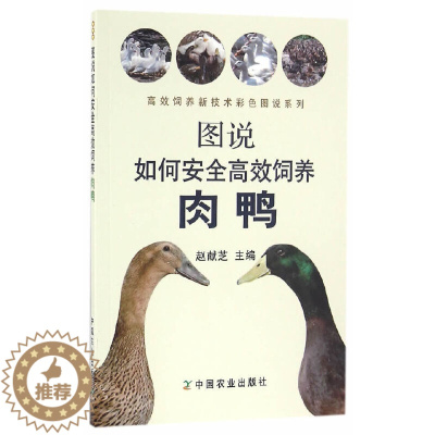 [醉染正版]图说如何安全高效饲养肉鸭 养鸭饲养鸭技术揭秘设备养鹅鸭疾病快速诊治防治大全生态高效养殖技术家禽养殖书籍养鸭技