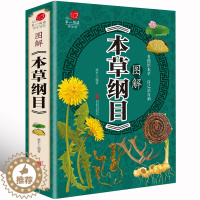[醉染正版]彩图图解本草纲目 中药学药材彩图大全图解黄帝内经系列 中草药书入门医学书籍 彩图原著中医养生书籍大全基础理论