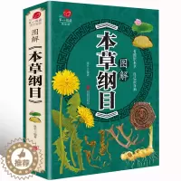 [醉染正版]彩图图解本草纲目 中药学药材彩图大全图解黄帝内经系列 中草药书入门医学书籍 彩图原著中医养生书籍大全基础理论