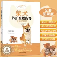 [醉染正版]柴犬养护全程指导 全彩图解柴犬饲养方法养护全程指导宠物狗喂养实用手册新手入门狗狗的日常护理与驯养一本书读懂你