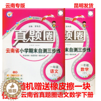 [醉染正版]云南真题圈云南省小学考试真卷三步练一年级下册语文数学英语 小学真题卷1年级下同步单元期中期末考试卷测试卷云南