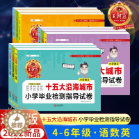 [醉染正版]新版王朝霞五大十大十五大城市卷小学毕业检测指导试卷精选考试语文数学英语六年级小升初试卷测试卷全套小升初真题卷