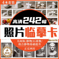 [醉染正版]照片临摹卡4本(几何体/静物/石膏像)美术绘画写生参考素材图片美术培训教学60幅唯美文艺精美卡片礼物原创作品