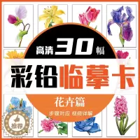 [醉染正版]彩铅临摹卡花卉篇2022一线美誉步骤对应美术绘画卡片兴趣高清原创