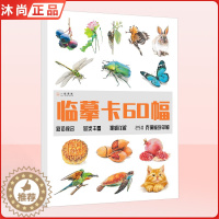 [醉染正版]彩铅临摹卡60幅彩铅综合 2022一线美誉步骤对应美术绘画卡片兴趣高清原创教学