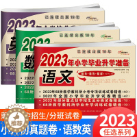 [醉染正版]2023小升初试卷真题卷模拟测试卷语文数学英语必刷题人教版小学毕业升学系统总复习资料六年级下册期末考试全