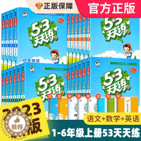 [醉染正版]2023新版53天天练一二三四五六年级上册下册语文数学英语全套同步训练人教版苏教123456小学一课一练试卷