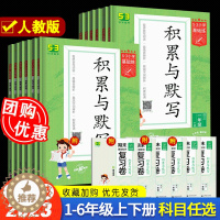 [醉染正版]2024春新版53小学基础练语文积累与默写三年级上册下册一年级二年级四年级五年级六年级小学基础题上下册看拼音