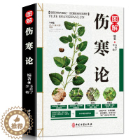 [醉染正版]伤寒论 张仲景正版 原著全集 中医四大名著之一 伤寒杂病论白话解 中医养生书籍大全医学全书 中医知识自学入门