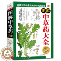 [醉染正版]图解中草药大全 中医养生书籍彩图版图文结合 中药大典 中草药书医学医药书籍 家庭养生保健常备中草药常识 中草