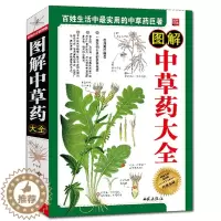 [醉染正版]图解中草药大全 中医养生书籍彩图版图文结合 中药大典 中草药书医学医药书籍 家庭养生保健常备中草药常识 中草