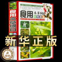 [醉染正版]精装全解实用本草纲目彩色图鉴正版李时珍原著彩图全套正版彩图版白话文养生书籍中医正版中草药大全书黄帝内经中医书