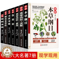 [醉染正版]中医生活彩色图解正版7册 本草纲目论黄帝内经神农本草经金匮要略温病条辨中医名著七册书籍大全入门基础理论养生健