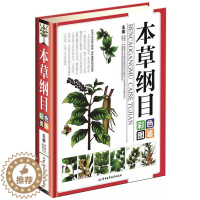 [醉染正版]正版 本草纲目彩色图鉴 精装 中医中药学图鉴 医学入门图解本草纲目 保健养生书籍 药方药膳 中草药书 军事