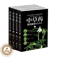 [醉染正版]中草药真伪鉴别鉴定中医养生家庭健康保健保养中草药配方秘方配对与禁忌 医学书籍中医入门药材配方指导书常用中草药