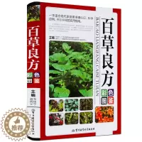 [醉染正版]百草良方 彩色图鉴正版图解中草药中药材彩色图谱附偏方药方 中药材药方养生中医养生保健本草纲目中医学入门图书籍