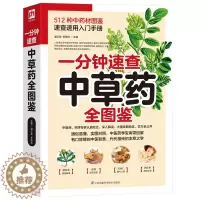 [醉染正版]一分钟速查中草药全图鉴材速查速用入门手册 512种材识别 中医基础理论 常用草药识别养生功效药方 家庭药膳养