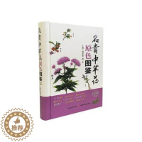 [醉染正版]Z正版名贵中草药原色图鉴 书籍 中医养生 正版