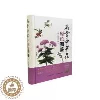 [醉染正版]Z正版名贵中草药原色图鉴 书籍 中医养生 正版