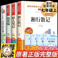 [醉染正版]初一 白洋淀纪事孙犁猎人笔记屠格涅夫镜花缘李汝珍湘行散记沈从文初中生七年级学生的课外名著书籍全套正版原版白杨