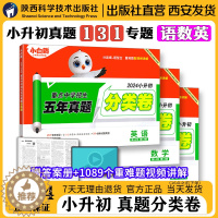 [醉染正版]2024版星空小升初真题分类卷语文数学英语小学专项训练分班考试卷小考六年级毕业系统总复习资料模拟试卷历年五年
