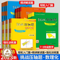 [醉染正版]2023版挑战压轴题 中考数学 强化训练篇修订版 初中物理化学总复习初三真题试卷分类题库八九年级解题技巧 中