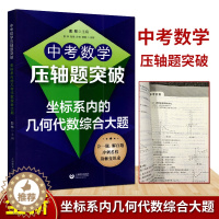 [醉染正版]2021新版中考数学压轴题突破坐标系内的代数几何综合大题初中数学七八九年级中考数学必刷题初中数学压轴题专项分