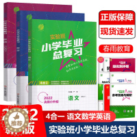 [醉染正版]2022新版 春雨教育 实验班小学毕业总复习 语文数学英语 小升初毕业升学总复习专项分类综合测试单元期中