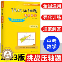 [醉染正版]2023版挑战压轴题 中考数学强化训练篇 初二初三八九年级初中数学中考总复习重难点压轴题型强化提升专项训练解