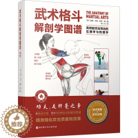 [醉染正版]武术格斗解剖学图谱 高效能攻击背后的生理学与物理学 (美)诺曼·林克,(美)莉莉·周 著 常一川 译 体育运