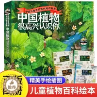 [醉染正版]中国植物很高兴认识你 正版全套4册植物科普类书籍小学生阅读儿童自然百科通识绘本读物兴趣课外书植物学科学知识鉴