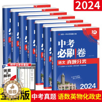 [醉染正版]2024 中考必刷卷真题分类集训数学语文英语物理化学地理生物历史道德与法治 全国通用 中考总复习中考必刷卷中
