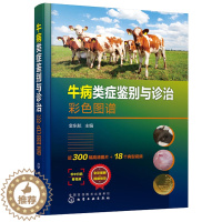 [醉染正版]牛病类症鉴别与诊治彩色图谱 金东航 主编 化学工业出版社 牛场兽医 基层兽医服务机构兽医 以及养牛专业大户的