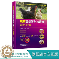[醉染正版]正版 鸡病类症鉴别与诊治彩色图谱 孙卫东、李银 主编 1化学工业出版社